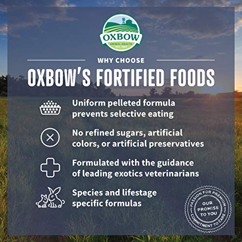 Oxbow Essentials Adult Rat Food - All Natural Adult Rat Food - 3 lb.