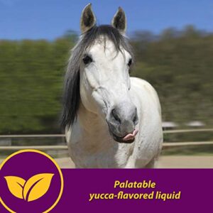 Horse Health Red Cell, Liquid Vitamin-Iron-Mineral Supplement for Horses, Helps Fill Important Nutritional Gaps in Horse's Diet, 1 Gallon, 128 Oz., 64-Day Supply