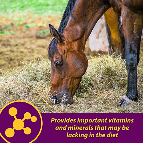 Horse Health Red Cell, Liquid Vitamin-Iron-Mineral Supplement for Horses, Helps Fill Important Nutritional Gaps in Horse's Diet, 1 Gallon, 128 Oz., 64-Day Supply