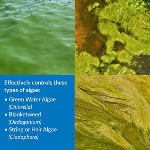 API POND ALGAEFIX Algae Control 1-Gallon Bottle