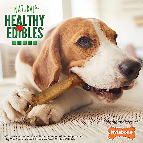 Nylabone Healthy Edibles Long-Lasting Dog Treats - Natural Dog Treats for Medium Dogs - Dog Products - Roast Beef Flavor, Medium/Wolf (2 Count)