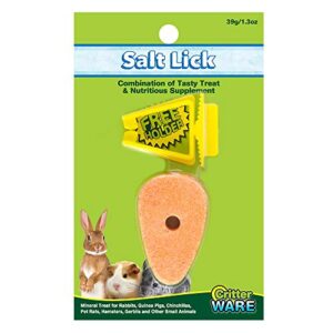 ware manufacturing carrot salt lick small pet chew with holder