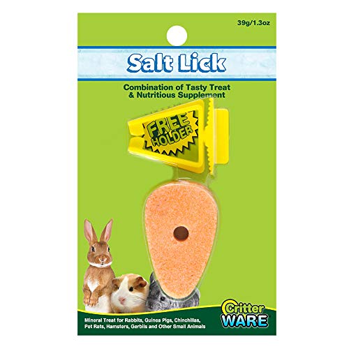 Ware Manufacturing Carrot Salt Lick Small Pet Chew with Holder