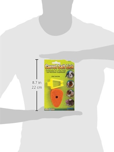 Ware Manufacturing Carrot Salt Lick Small Pet Chew with Holder