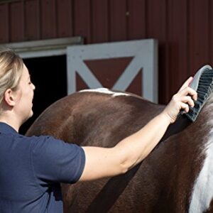 Oster Equine Care Series Horse Grooming Brush, Stiff Bristle, Pink (0-34264-41960-5)