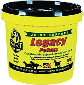 richdel 784299540507 legacy pellets joint support for senior horses, 5 lb