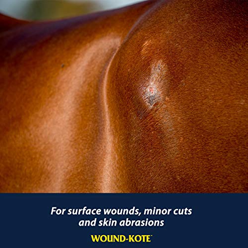 Farnam Wound-Kote Blue Lotion Spray Horse Wound Care for use on Horses and Dogs, Antiseptic Properties, for Minor Wounds, Cuts and Sores, 5 Oz