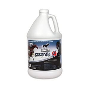 pennwoods essential e: equine vitamin e supplement for horse health, performance, recovery & nutrition - 1 gallon