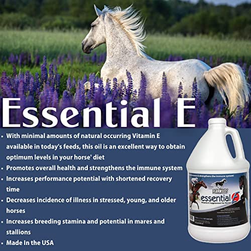 Pennwoods Essential E: Equine Vitamin E Supplement for Horse Health, Performance, Recovery & Nutrition - 1 Gallon