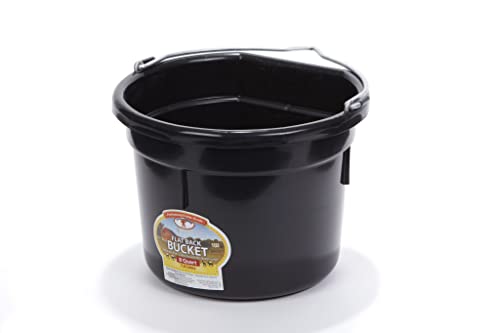 Little Giant Plastic Animal Feed Bucket (Black) Flat Back Plastic Feed Bucket with Metal Handle (8 Quarts / 2 Gallons) (Item No. P8FBBLACK)