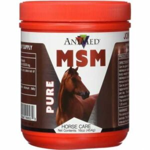 animed pure msm supplement for horses, 1-pound