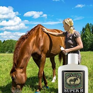 Bickmore Super H Antiseptic Powder for Horses - Quick Healing, Stops Bleeding, Treats Proud Flesh