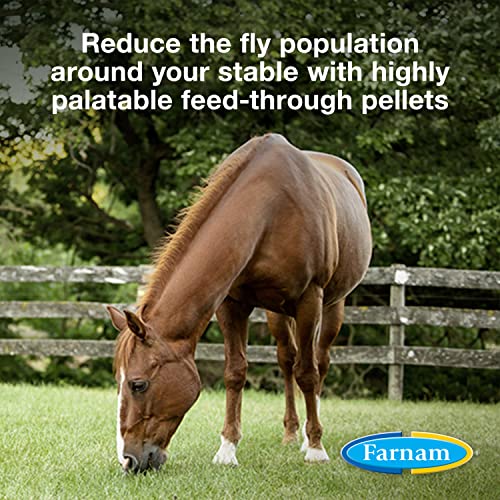 Farnam SimpliFly Feed Through Fly Control for Horses, Breaks the Fly Life Cycle, Pellets, 3.75 Pound Bucket, 60 Day Supply for One Horse