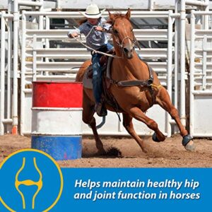 Farnam Fluidflex Liquid Joint Supplement for Horses, Helps maintain healthy hip & joint function, 64 ounces, 64 Day Supply