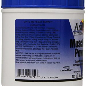 AniMed Muscle-UP Powder 2.5 lb