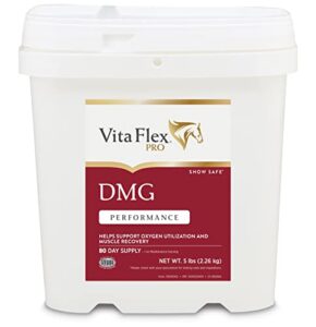 vita flex pro dmg 1500 horse dmg supplement 5 pounds, 80-day supply