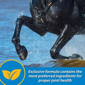 Farnam Fluidflex Liquid Joint Supplement for Horses, Helps Maintain Healthy Hip & Joint Function, 1 Gallon, 128 Ounces, 128 Day Supply