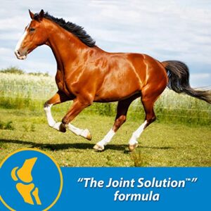 Farnam Fluidflex Liquid Joint Supplement for Horses, Helps Maintain Healthy Hip & Joint Function, 1 Gallon, 128 Ounces, 128 Day Supply