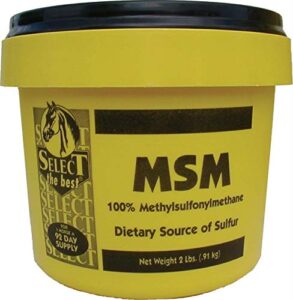 select the best msm powder joint support for horses, 2 pound container