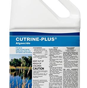 Cutrine-Plus Algaecide, 1 gal