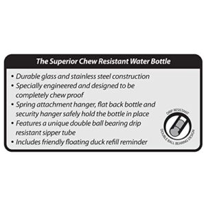 Kaytee Chew-Proof Water Bottle for Pet Hamsters, Gerbils and Rats, 6 oz