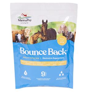 manna pro bounce back supplement | multi-species electrolyte | 4 oz