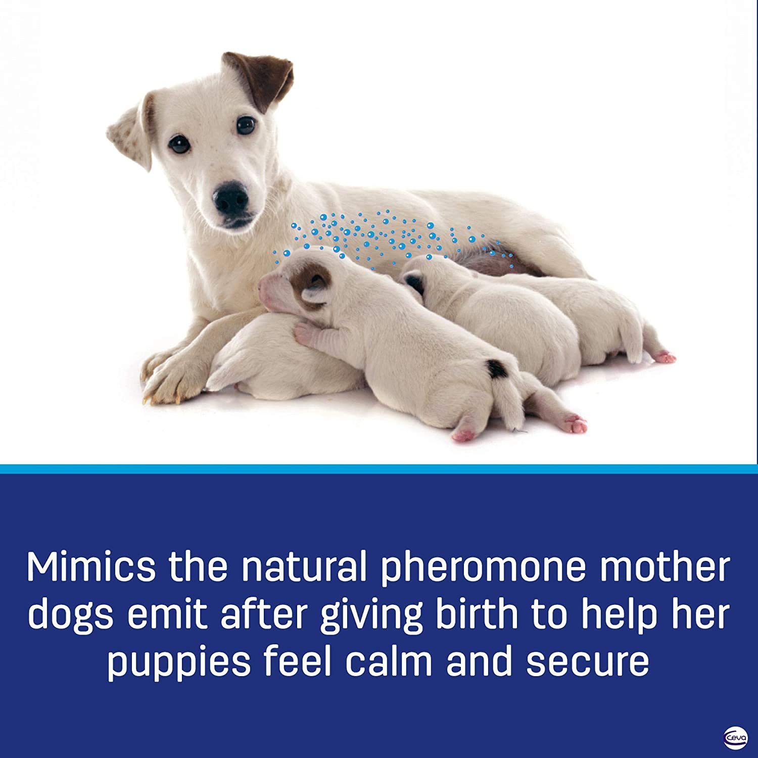 ADAPTIL Calming Pheromone Collar for Dogs, Medium/Large