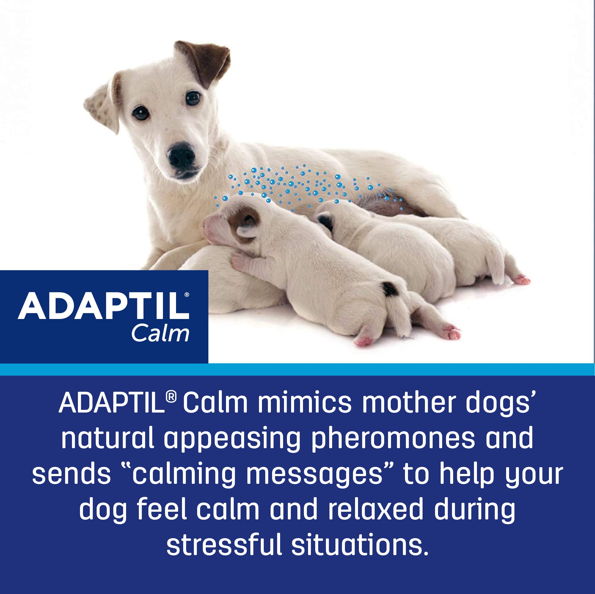 ADAPTIL Calming Pheromone Collar for Dogs, Medium/Large