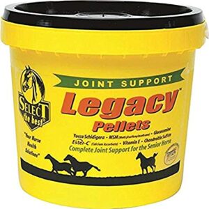 richdel 784299542006 legacy pellets joint support for senior horses, 20 lb