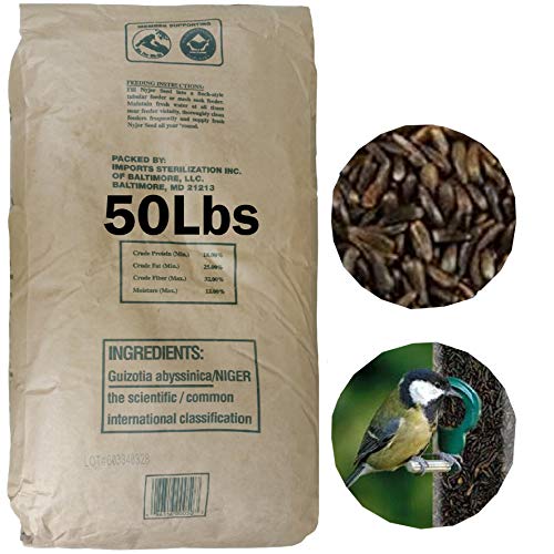 Commodity Marketing Company Nyjer Seeds – Premium High Energy Wild Bird Thistle Food – Finches – Garden Backyard Birds – Great for Bird Feeders