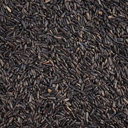 Commodity Marketing Company Nyjer Seeds – Premium High Energy Wild Bird Thistle Food – Finches – Garden Backyard Birds – Great for Bird Feeders