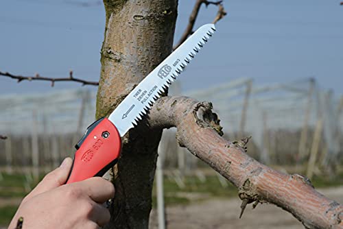 Felco Folding Saw (F 600) - Classic Tree Pruning Saw with Pull-Stroke Action, Red