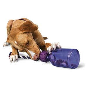 petsafe busy buddy tug-a-jug meal-dispensing dog toy use with kibble or treats