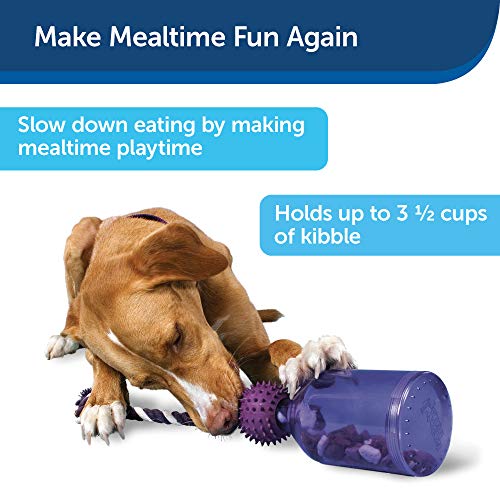 PetSafe Busy Buddy Tug-A-Jug Meal-Dispensing Dog Toy Use with Kibble or Treats