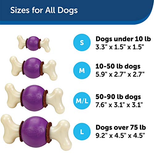 PetSafe Busy Buddy Bouncy Bone- Treat-Holding Toys for Dogs- Scented for Enhanced Sensory Stimulation- Rigorously Tested Ingredients- For Aggressive Chewers- Treat Rings Included- Purple, Medium