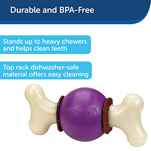 PetSafe Busy Buddy Bouncy Bone- Treat-Holding Toys for Dogs- Scented for Enhanced Sensory Stimulation- Rigorously Tested Ingredients- For Aggressive Chewers- Treat Rings Included- Purple, Medium