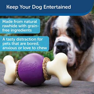 PetSafe Busy Buddy Bouncy Bone- Treat-Holding Toys for Dogs- Scented for Enhanced Sensory Stimulation- Rigorously Tested Ingredients- For Aggressive Chewers- Treat Rings Included- Purple, Medium