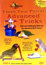 feathered phonics teach your parrot series dvd 4: advanced tricks