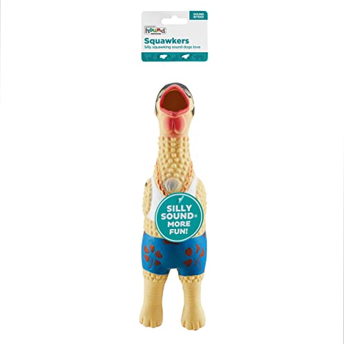 Charming Pet Squawkers Earl Latex Rubber Chicken Interactive Dog Toy, Large