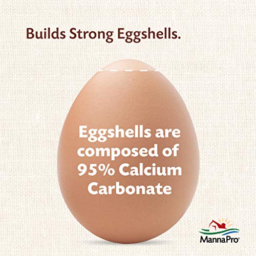 Manna Pro Crushed Oyster Shell - Calcium Supplement for Laying Hens - Chicken Feed for Egg-Laying Chickens - 5 lbs