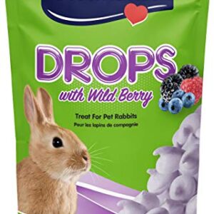 Vitakraft Drops Rabbit Treat - Wild Berry - Yogurt Treats for Rabbits Purple 5.3 Ounce (Pack of 1)