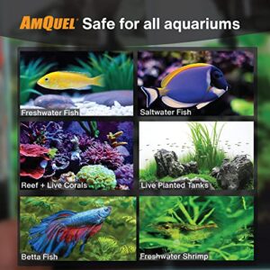 Kordon AMQUEL One-Step Aquarium Water Conditioner - Removes Chlorine & Chloramines Fast, Detoxifies Ammonia, for Freshwater & Saltwater Aquariums, 1-Gallon