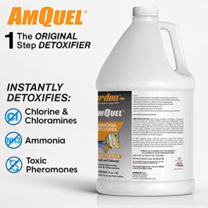 Kordon AMQUEL One-Step Aquarium Water Conditioner - Removes Chlorine & Chloramines Fast, Detoxifies Ammonia, for Freshwater & Saltwater Aquariums, 1-Gallon