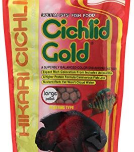 Hikari 8.8-Ounce Cichlid Gold Floating Pellets for Pets, Large