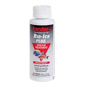kordon rid-ich plus aquarium disease treatment – controls ich, external parasites and fungal infections for fresh and saltwater fish, fast and effective, 4-ounces