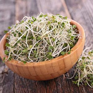 Organic Broccoli Sprouting Seeds By Handy Pantry | 1 Pound Resealable Bag| | Non-GMO Broccoli Sprouts Seeds, Contain Sulforaphane