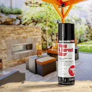 Spectracide PRO Wasp & Hornet Killer (Aerosol)(18 oz), Pack of 1, White Can