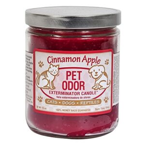 pet odor exterminator candle, cinnamon apple, 13 oz