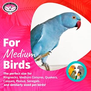 Super Bird Creations SB480 Starburst Bird Toy, Medium Bird Size, 10" x 4"