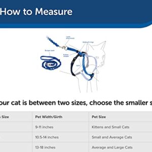 PetSafe Come With Me Kitty Harness and Bungee Leash, Harness for Cats, Large, Royal Blue/Navy